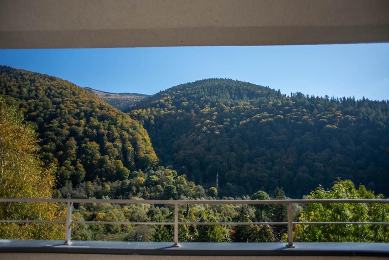 Blue Forest Studio Sinaia Exterior photo