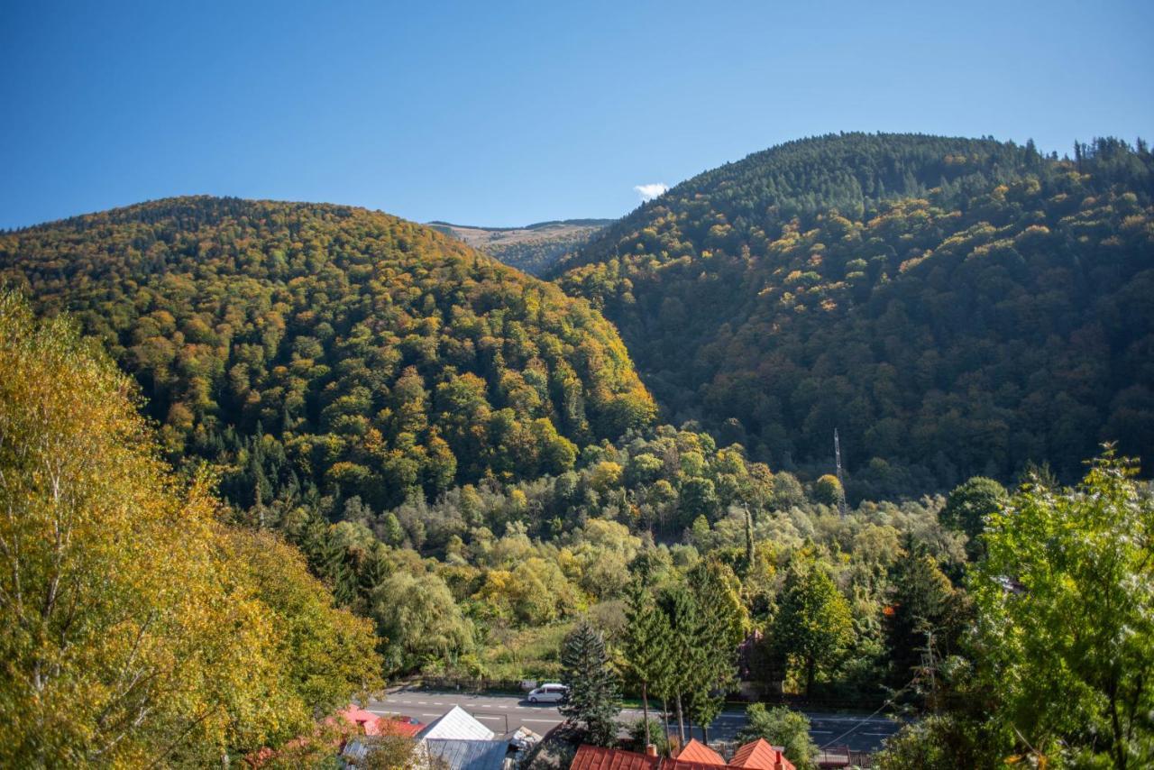 Blue Forest Studio Sinaia Exterior photo