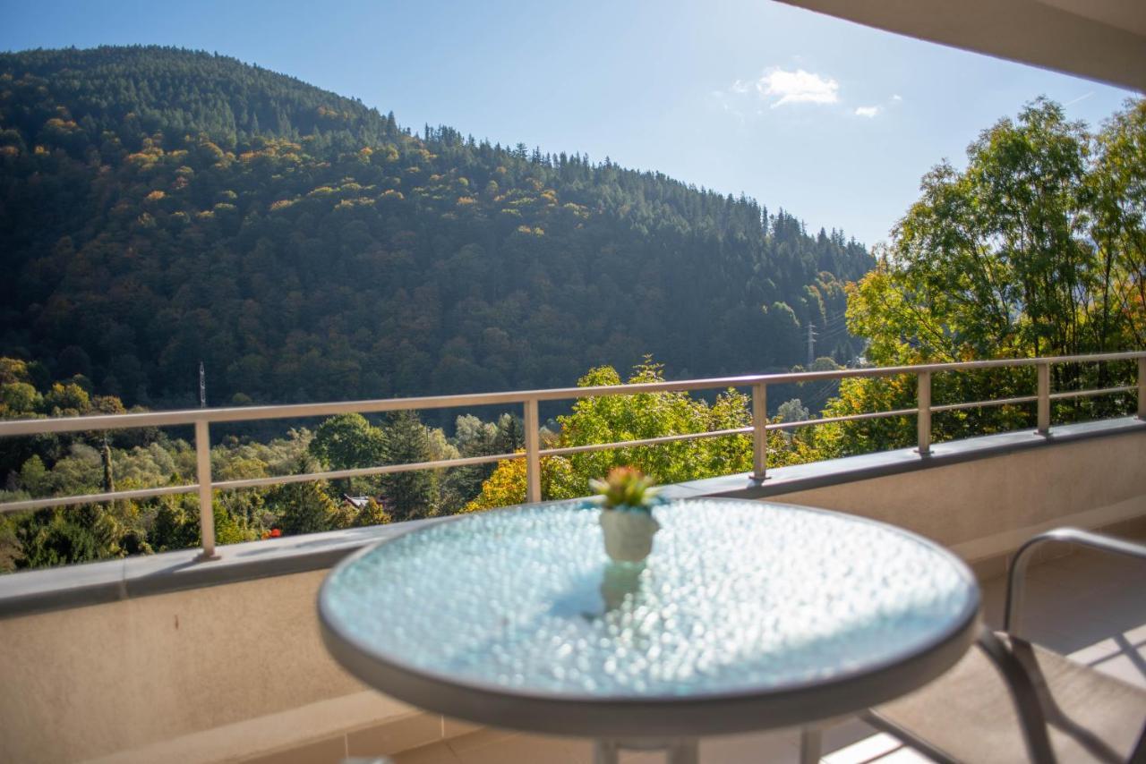 Blue Forest Studio Sinaia Exterior photo
