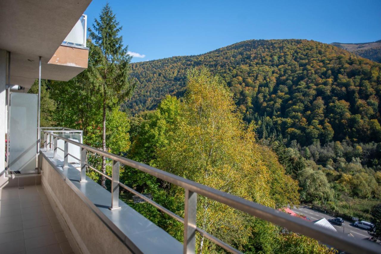 Blue Forest Studio Sinaia Exterior photo